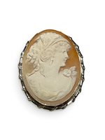Spilla Mandile 1922 Donna Cammei  in Argento Conchiglia 2MSPCM30.2.26